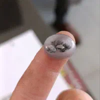 نگین انگشتر شجر قائن|جواهرات|آذرشهر, |دیوار