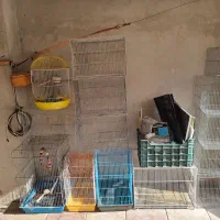 فروش لوازم پرنده با قیمت مناسب