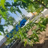 باغ باغچه ۴۹۸متری اب برق دار(ماریان)