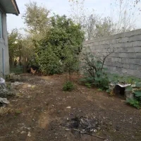 اجاره مسکونی درآستانه اشرفیه کیسم|اجارهٔ خانه و ویلا|آستانه اشرفیه, |دیوار