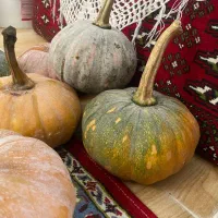 تعدادی کدو|خوردنی و آشامیدنی|واجارگاه, |دیوار