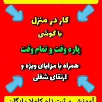 کار مجازی برای بانوان هدفمند