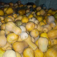 کدو حلوایی شیرین