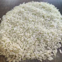 برنج کامفیروز به شرط پخت و عطر و طعم کیلویی 245