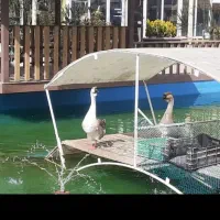 فروش و معاوضه مغازه در بهترین نقطه دهکده گل|فروش مغازه و غرفه|مشهد, شهرک صنعتی توس|دیوار