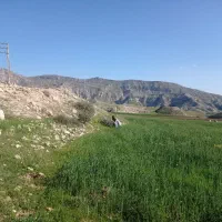 زمین احاره