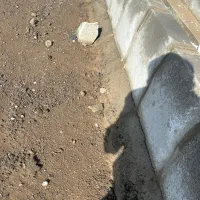 استخدام نیرو استا جهت کار جدول کشی و سنک فرش