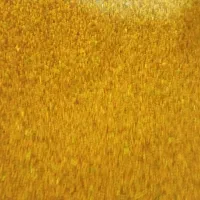 فروش بذر یونجه