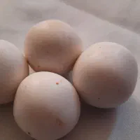 الماس اسیاب|کلکسیون اشیاء عتیقه|شریفآباد, |دیوار