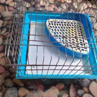 سبد خرگوش با جای دستشویی