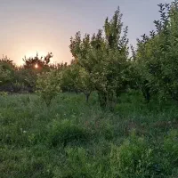 باغشهری سپیدان (کوشکک و شیربابا)|فروش دفتر صنعتی، کشاورزی، تجاری|سپیدان, |دیوار