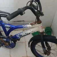 دو عدد دوچرخه