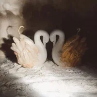 شمع هادر هر رنگ وطرح متفاوت‌.گیفت های مناسبتی.