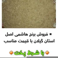فروش برنج هاشمی اصل گیلان، لاشه و شکسته فروشی