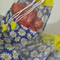 کیسه ویترین دار|سفره، حوله، دستمال آشپزخانه|خرم‌آباد, |دیوار