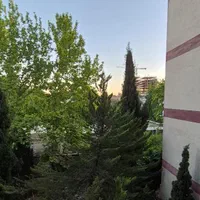 اجاره مستغلات ۷۵۰ متر در ۳ طبقه سهروردی|اجارهٔ خانه و ویلا|تهران, سهروردی|دیوار