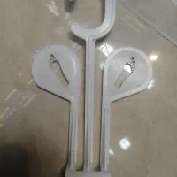 رگال وپایه
