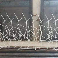 عنواع حفاظ شاخ گوزنی|خدمات پیشه و مهارت|الوند, |دیوار