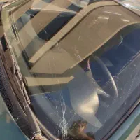 آردی مدل ۸۴|خودرو سواری و وانت|فردیس, قریشی|دیوار