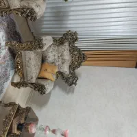 فروش مبل سلطنتی|مبلمان خانگی و میز عسلی|زاهدان, |دیوار