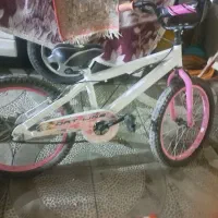 دوچرخه 20