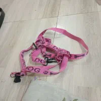 قلاده کتفی سگ