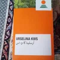 بذر چغندر