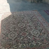 فرش ۹متری|فرش|صائین قلعه, |دیوار