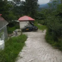 .کلبه ی جنگلی واقع در قلب جنگل های لفور مازندران|فروش خانه و ویلا|آلاشت, |دیوار