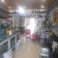 فروش کلی اجناس مغازه با دکور مغازه|حراج|نوشهر, |دیوار