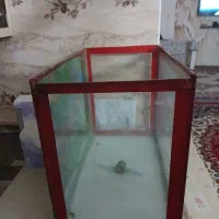 فروش آکواریوم سالم|ماهی|شاندیز, |دیوار