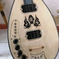 ساز برقی. zoom