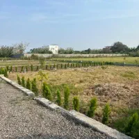 300-متر-زمین-بافت-زرد-مازندران