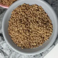 توت خانگی
