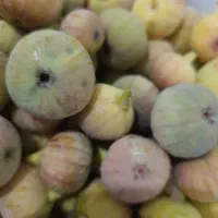انجیر شیرین