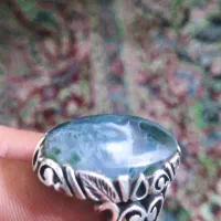 شجر دریایی زیبا ترین رکاب