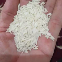 هاشمی معطراستانه اشرفیه