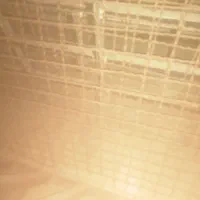 فنس