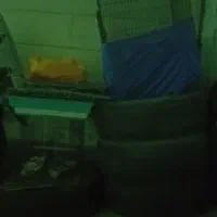 قفس بزرگ
