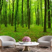 نقاشی ساختمان و کاغذ دیواری|خدمات پیشه و مهارت|نهاوند, |دیوار