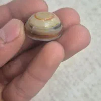 سنگ سلیمانی سه پوست