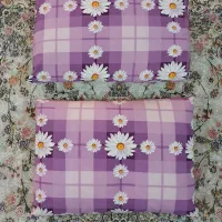 دو عد بالش پر