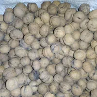 گردو دالاهو|خوردنی و آشامیدنی|دشت ذهاب, |دیوار