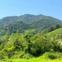 مگه داریم زمین از این خوشگلتر/۱۷۰۰ متر جنگلی زیبا