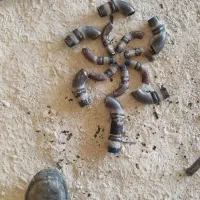 لوله کشی گاز و جوشکاری سایبان حیاط