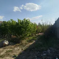 باغ ۳۱۵متر بر اصلی/۱۲متر بر/برق/گاز/درختان ۱۰ساله