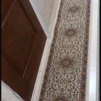 کناره و‌پادری