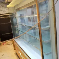 یخچال صنعتی اکواریومی