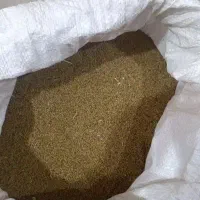بذر یونجه