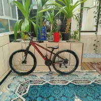 دوچرخه در حد نو